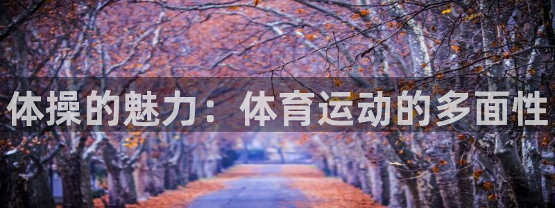 德国MK体育官方正版app集团：体操的魅力：体育运动的多面性