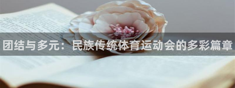 海南MK体育官网下载：团结与多元：民族传统体育运动会的多彩篇