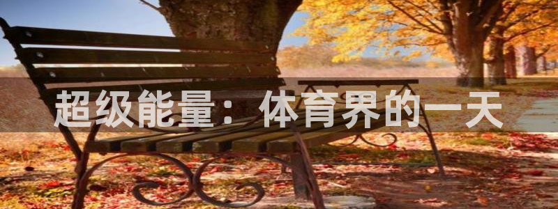 MK体育官方正版app新能源