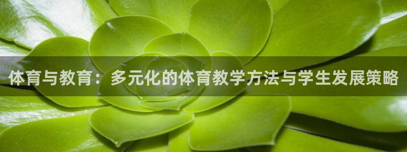 MK体育官方正版app集团官网首页：体育与教育：多元