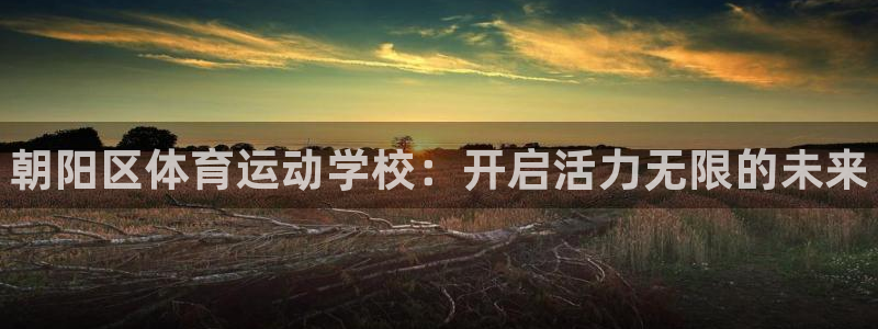 MK体育官方正版app娱乐网站：朝阳区体育运动学校：