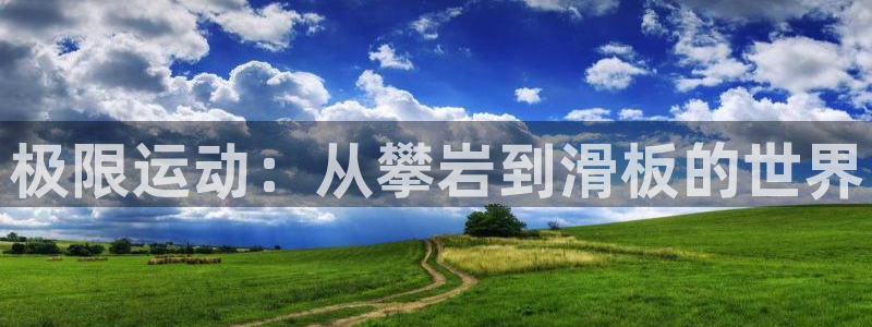 MK体育官方正版app娱乐是那个系列的台子：极限运动