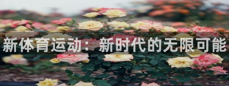 MK体育官方正版app娱乐代理怎么样：新体育运动：新
