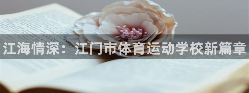 MK体育官方正版app集团官网首页