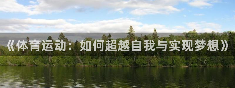 MK体育官方正版app神州