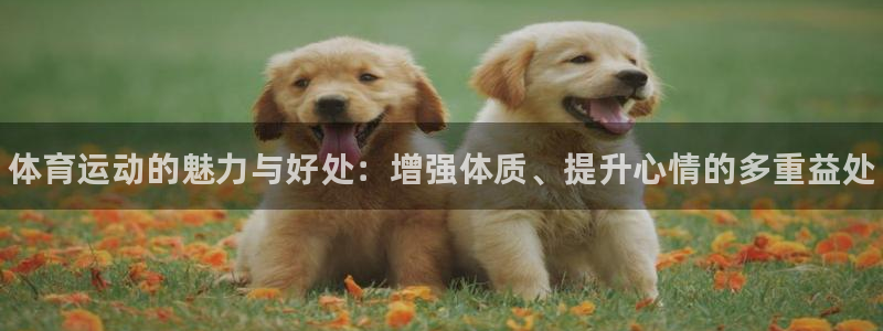 MK体育官方正版app娱乐首页官网下载：体育运动的魅力与好处