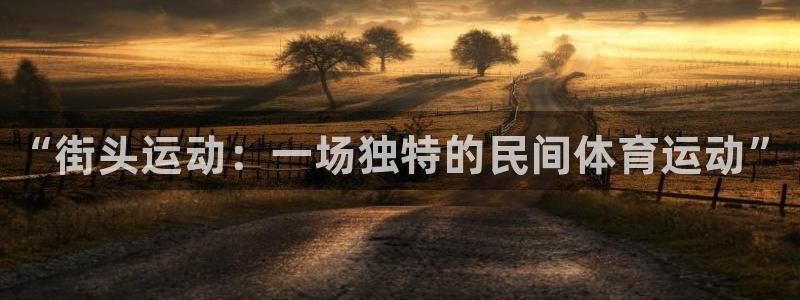 MK体育官网下载平台是正规平台吗知乎：“街头运动：一