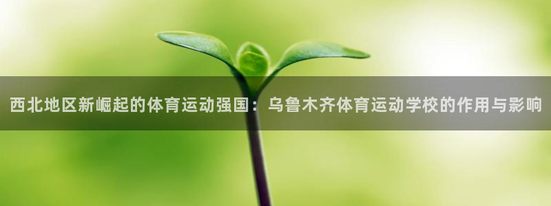 MK体育官网下载平台假的吗是真的吗：西北地区新崛起的体育运动