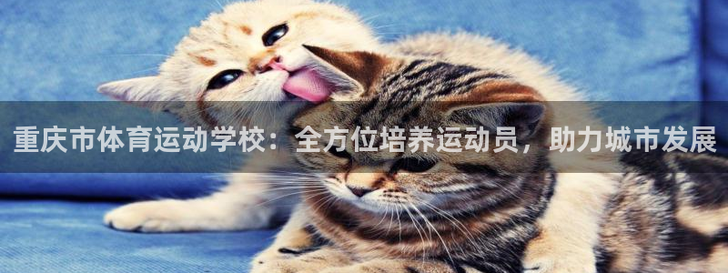 MK体育官网下载招商电话号码是多少啊