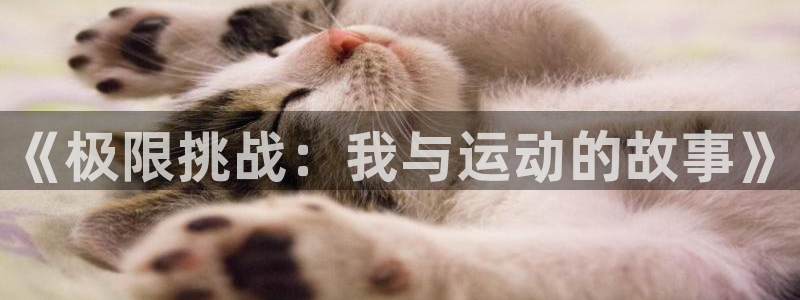 MK体育官网下载平台是正规平台吗知乎：《极限挑战：我与运动的