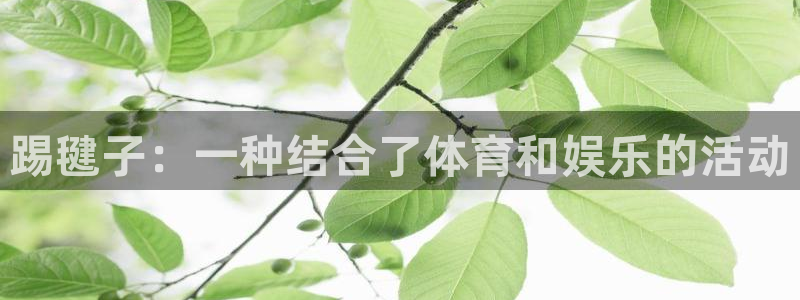 MK体育官网下载招商电话号码是多少号：踢毽子：一种结