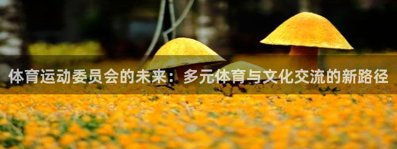MK体育官方集团官网：体育运动委员会的未来：多元体育与文化交