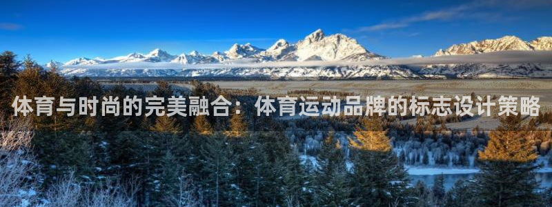 MK体育官网下载平台注册要钱吗安全吗：体育与时尚的完美融合：