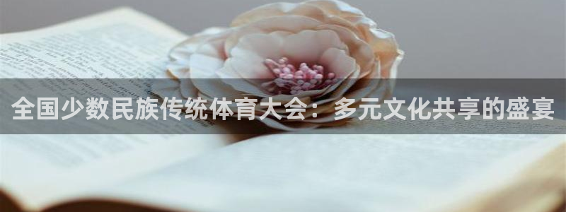 MK体育官方正版app集团E.ON：全国少数民族传统体育大会