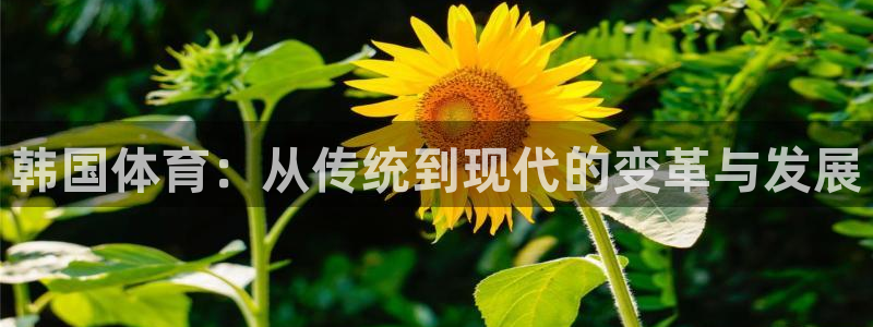 MK体育官方正版app开户：韩国体育：从传统到现代的变革与发
