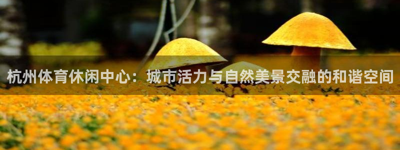 MK体育官网下载招商：杭州体育休闲中心：城市活力与自