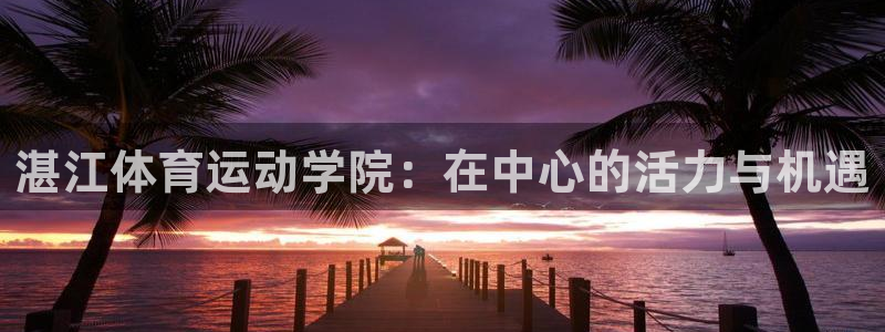 MK体育官方正版app开户
