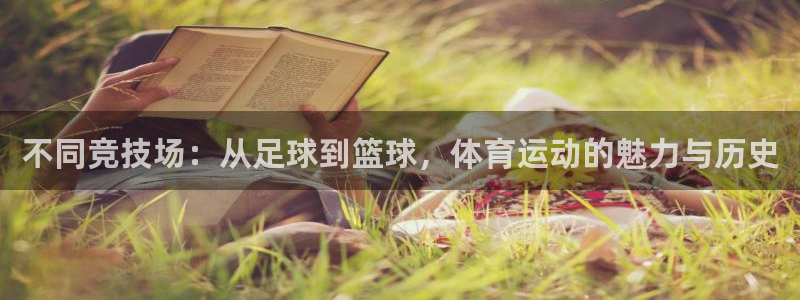 MK体育官方正版app官网：不同竞技场：从足球到篮球，体育运