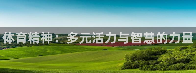 MK体育官方正版app娱乐平台:体育精神:多元活力与智慧的力