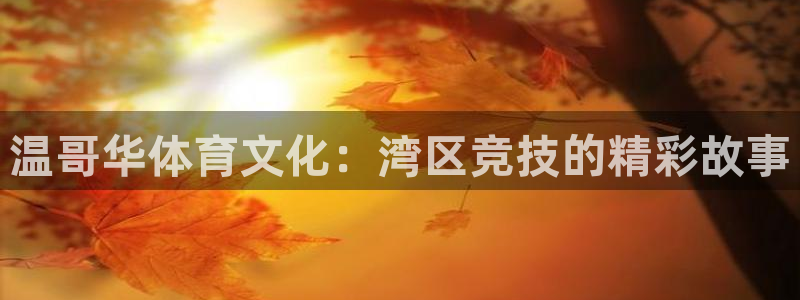 MK体育官网下载招商电话