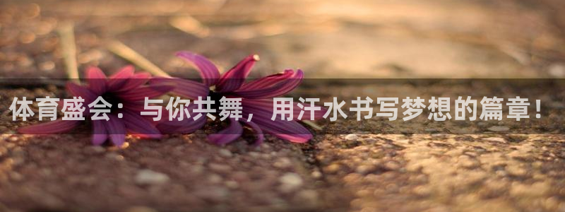 MK体育官方正版app娱乐:体育盛会:与你共舞,用汗水书写梦