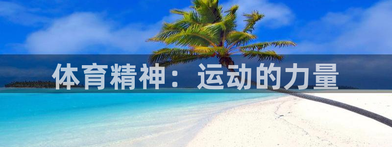 MK体育官方正版app代理：体育精神：运动的力量