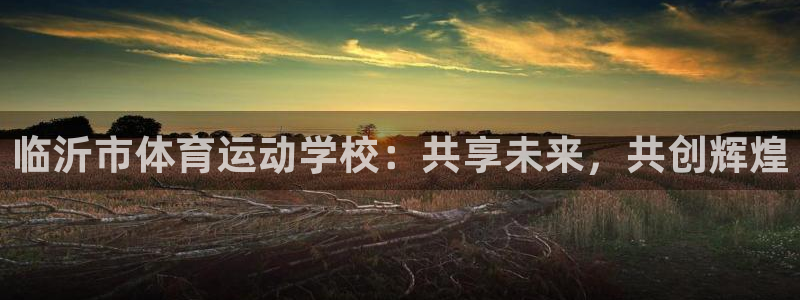 MK体育官方正版app集团E.ON：临沂市体育运动学