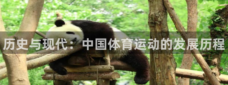 MK体育官方正版app官网：历史与现代：中国体育运动的发展历