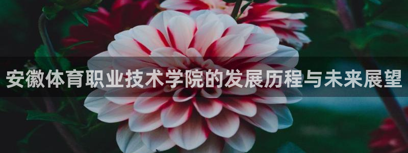 Mk体育登录入口：安徽体育职业技术学院的发展历程与未来展望