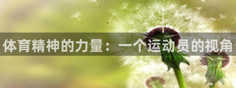  MK体育恩波利足球俱乐部：体育精神的力量：一个运动员的视角