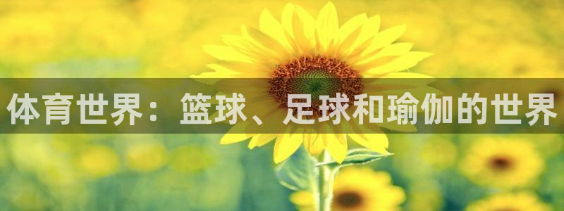 mk体育是黑台子吗是真的吗：体育世界：篮球、足球和瑜伽的世界